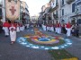 infiorata (117)